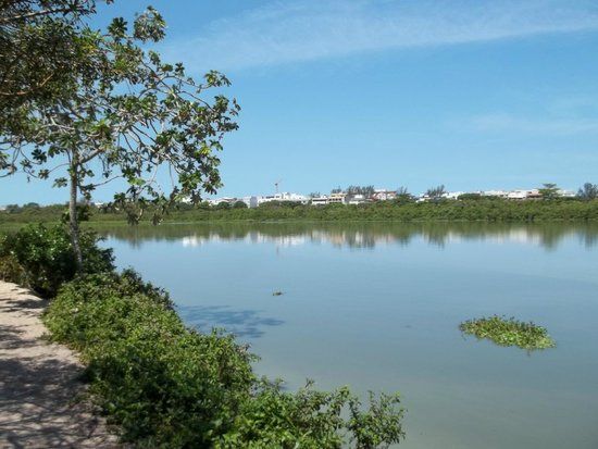 Parque Ecológico Chico Mendes